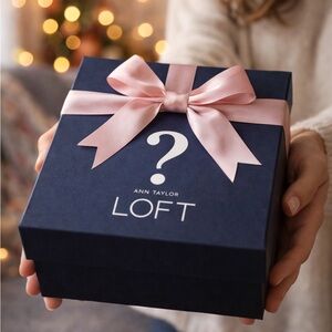 Ann Taylor LOFT Mystery Box